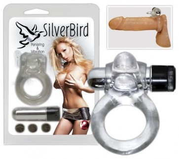 Silver Bird