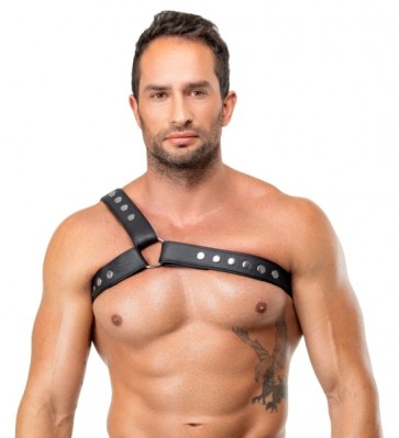 Brustharness aus Leder