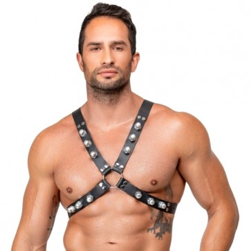 Le Herren Harness