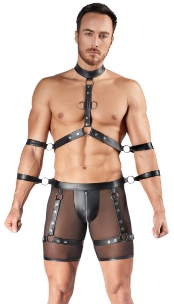 Herren Harness und Pants M