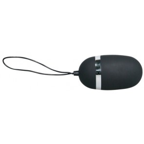 Velvet Remote Control Egg