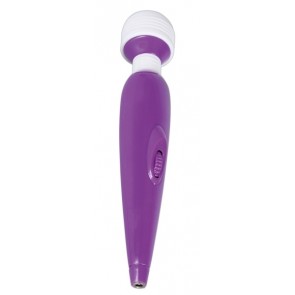 Women's Spa Mini Massager