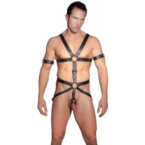 Harness