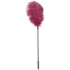 Feder pink