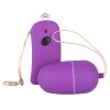 Lust Control Purple
