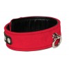 Leder Halsfessel S-L