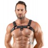 Herren Brustharness schwarz
